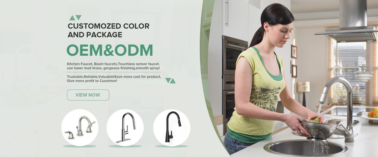 Stainless Steel Basin Faucet